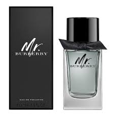 Burberry Mr Burberry EDT 100m